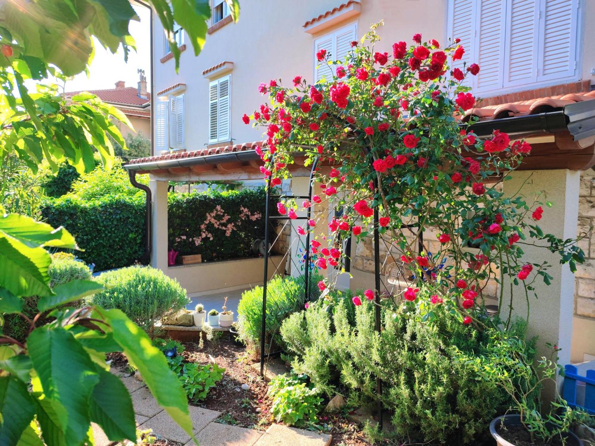 House Torretta *