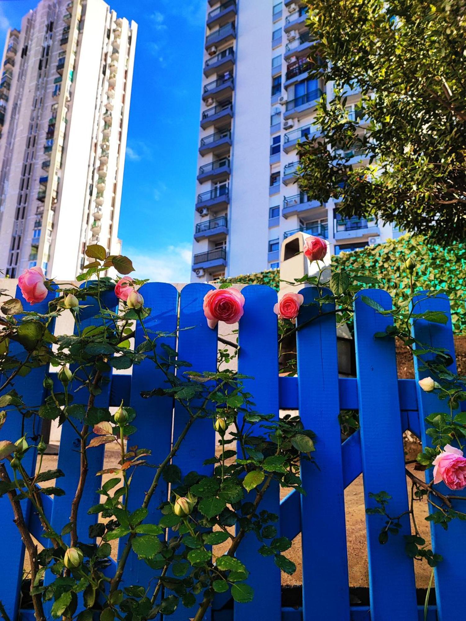 Apartament House Torretta *